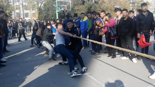 点击查看原图