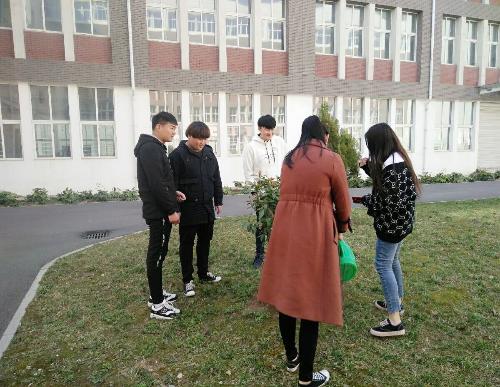 点击查看原图