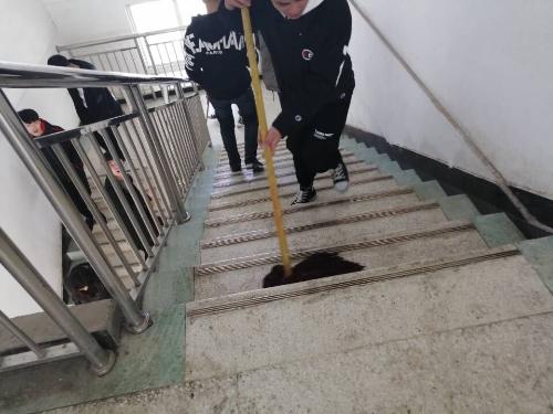 点击查看原图