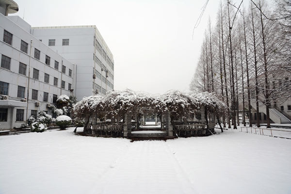 校园雪景