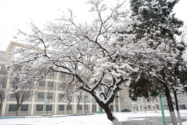 校园雪景