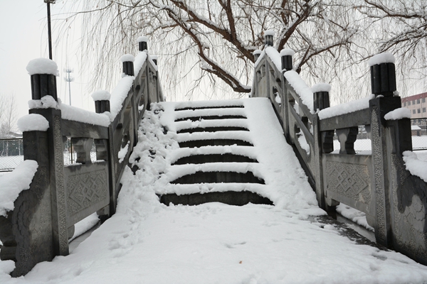 校园雪景