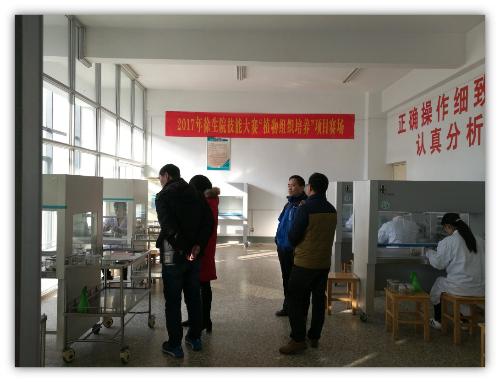 点击查看原图