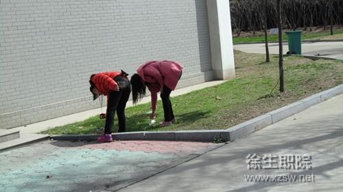点击查看原图