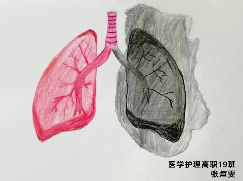 卫生健康学院举办"世界无烟日——吸烟前后肺部解剖对比图"绘画比赛